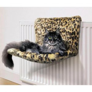 large radiator cat bed