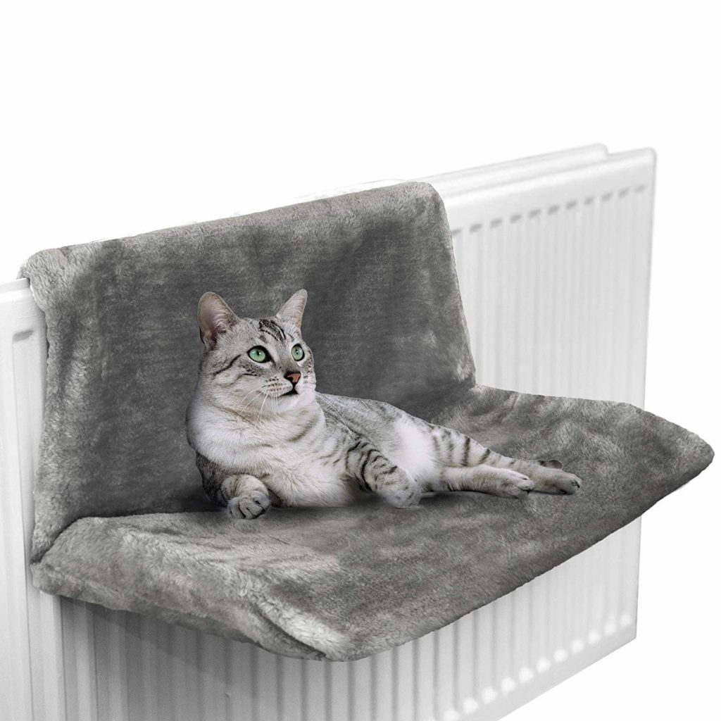 Best Cat Radiator Bed Photos All