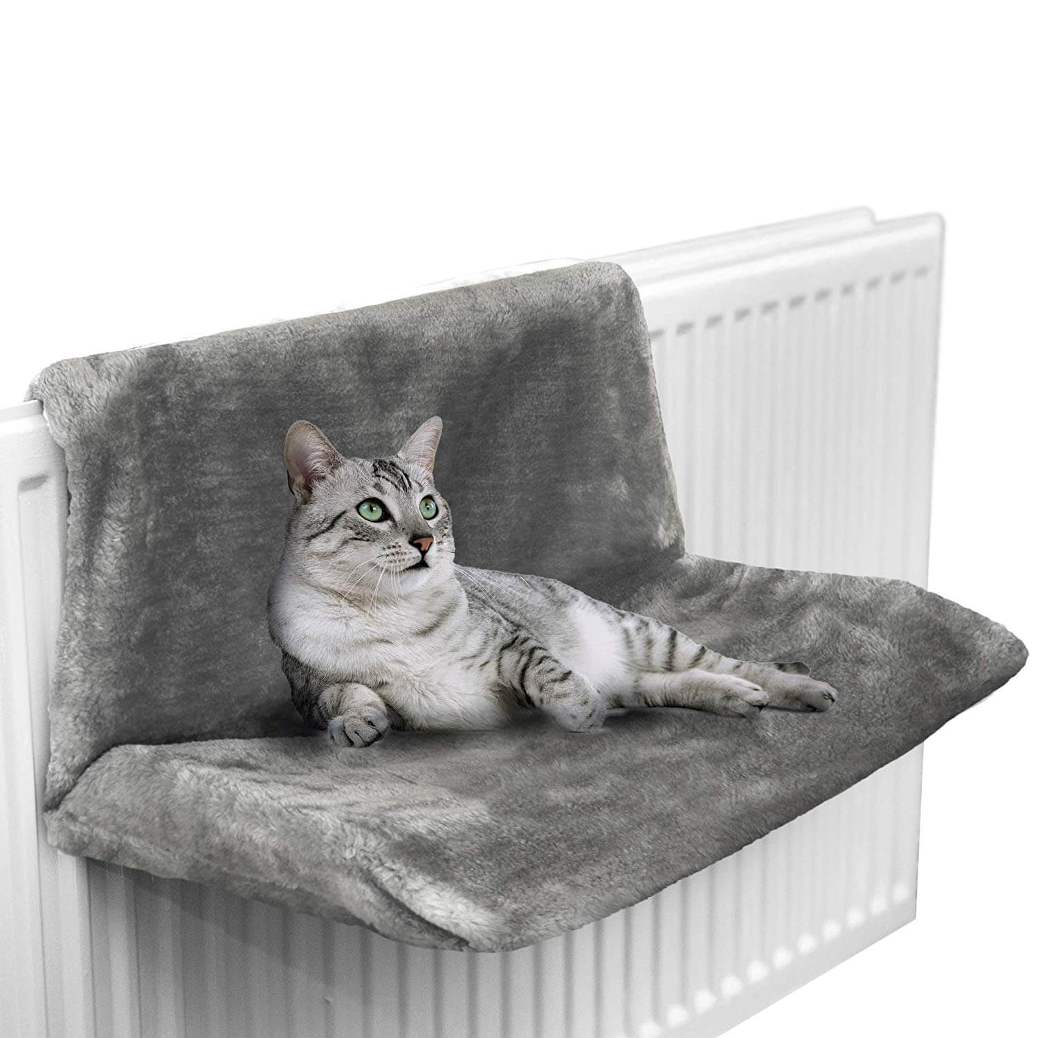 Best Radiator Cat Beds for 2020 - Heat 