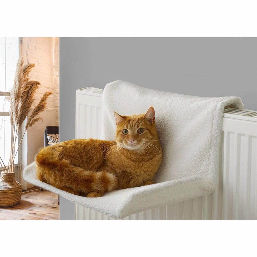 Xl Cat Radiator Bed Photos All