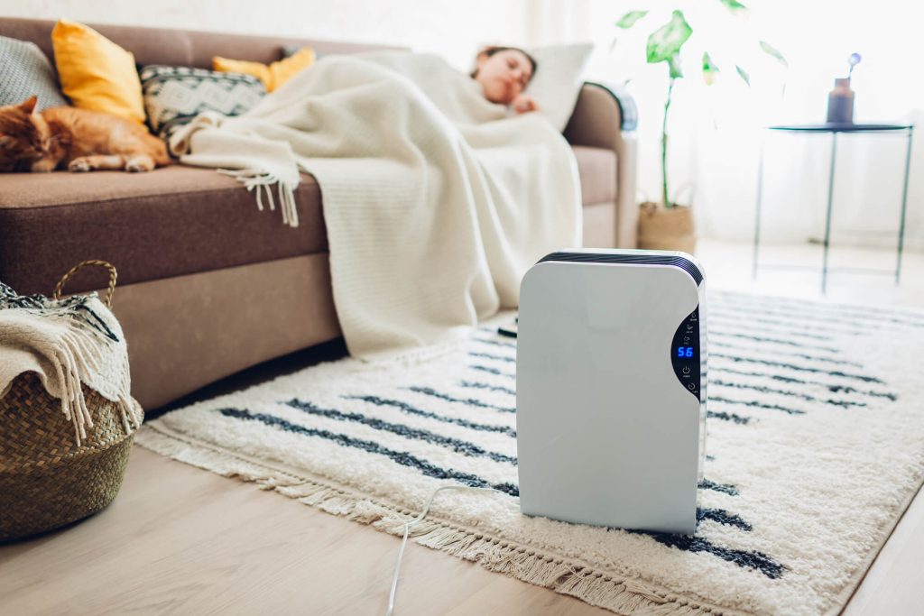 Portable dehumidifier selected for the right room size