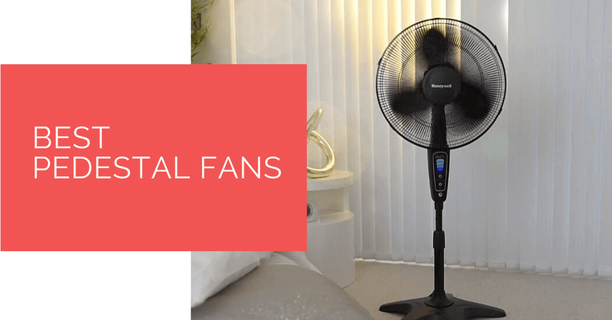 Best Pedestal Fans