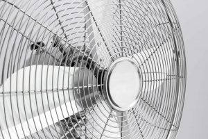 Fan Blades