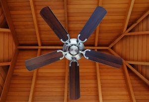 Indoor Ceiling Fan