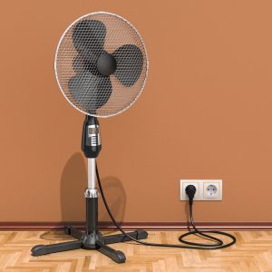 Pedestal Fan