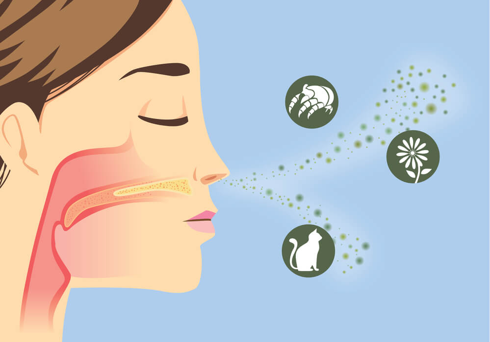 Household allergens including dust pollen pet dander and mould spores
