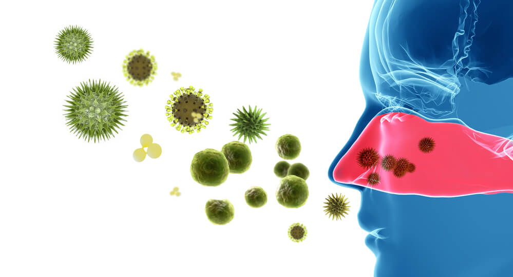 Common indoor allergy symptoms linked to household allergens