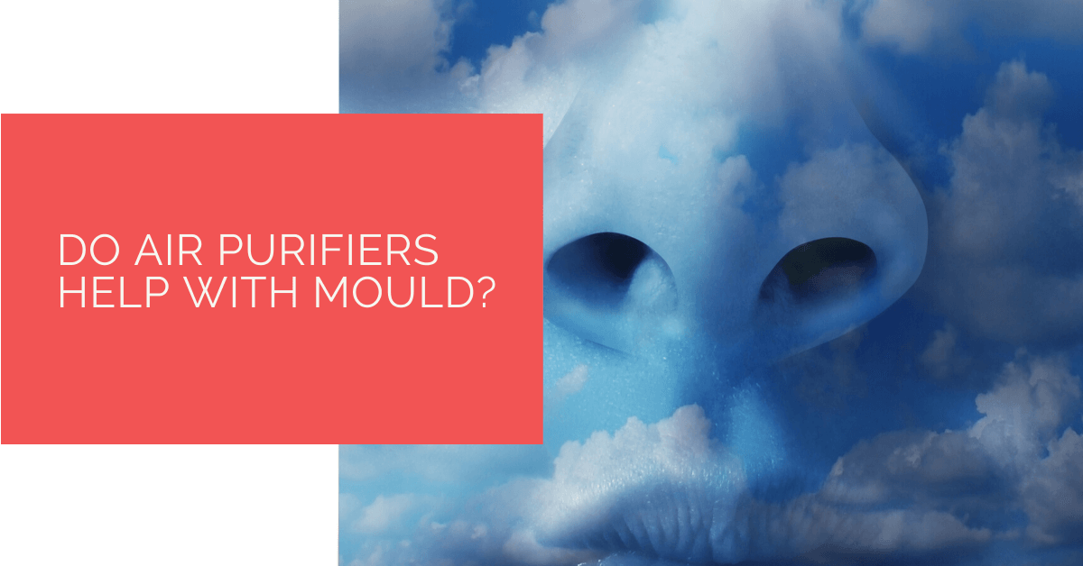 Do Air Purifiers Help with Mould