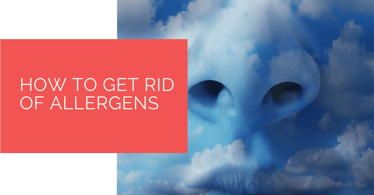 How to Get Rid of Allergens