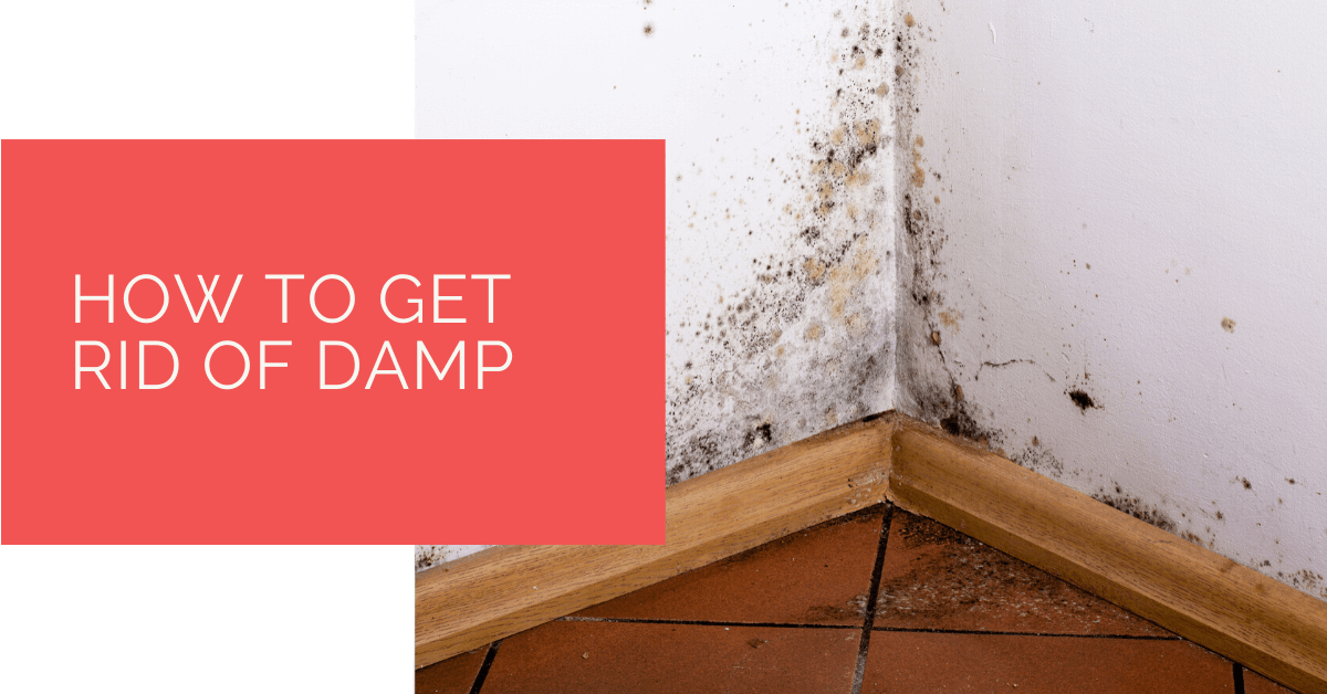 How to Get Rid of Damp