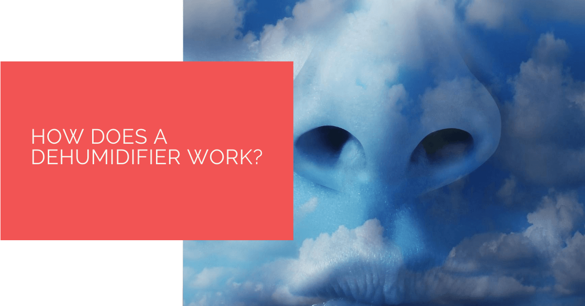 How Does a Dehumidifier Work
