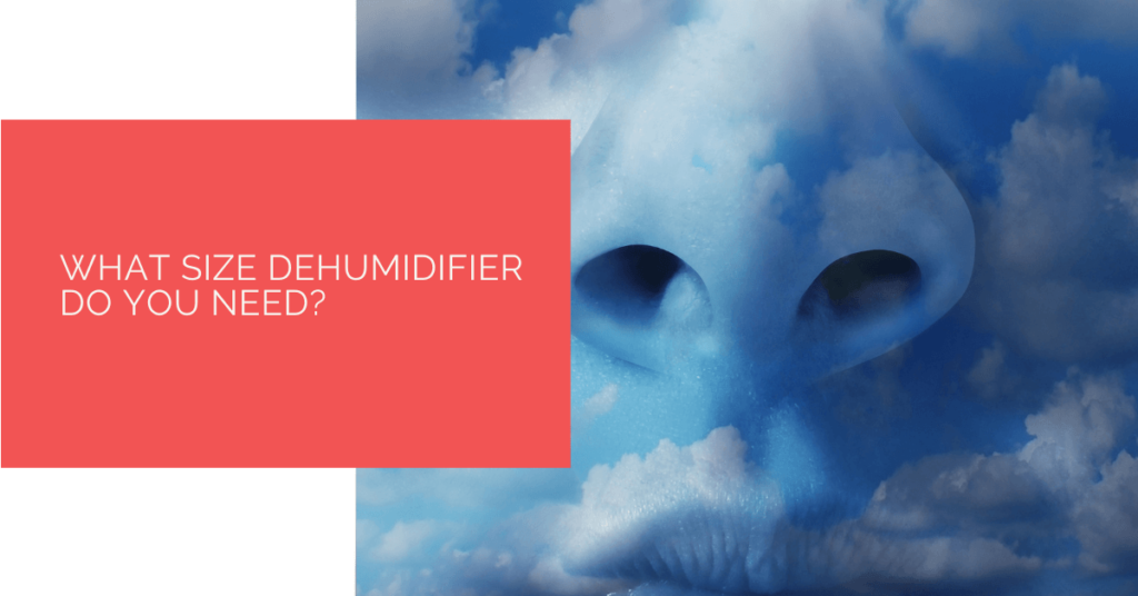 What Size Dehumidifier Do You Need? Heat Pump Source