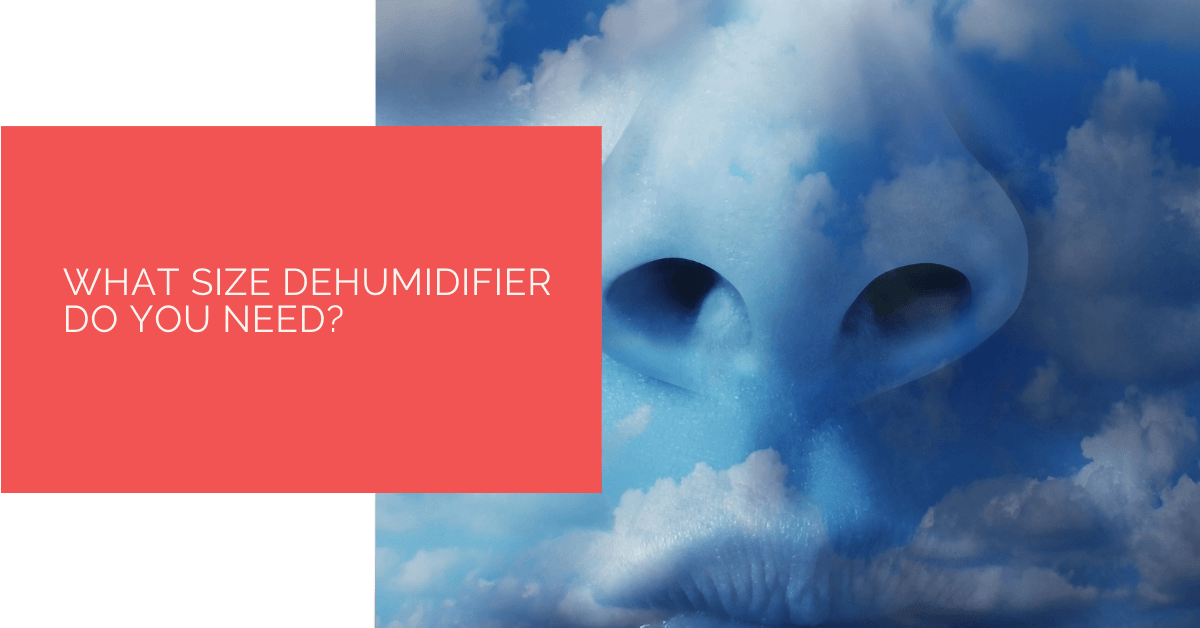 What Size Dehumidifier Do You Need?