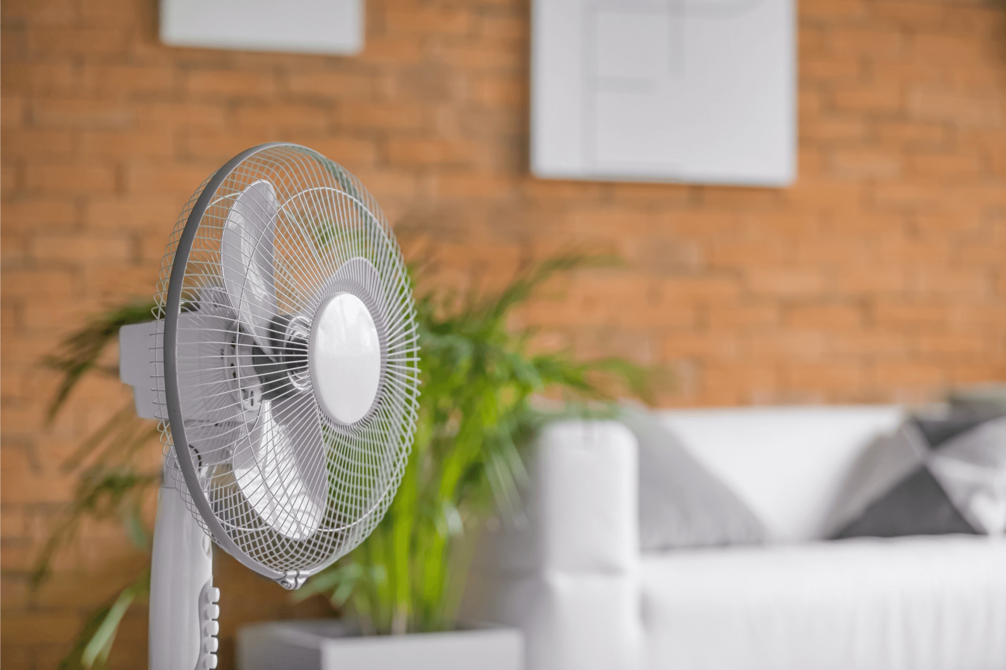 How Long Can You Leave an Electric Fan On? Heat Pump Source