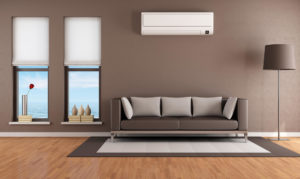 Living Room with Air Conditioner