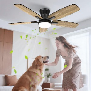 Airwit 106cm Silent DC Ceiling Fan